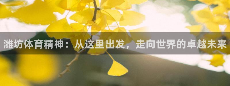 oety欧亿体育官网下载平台是正规平台吗知乎:潍坊体育精神: