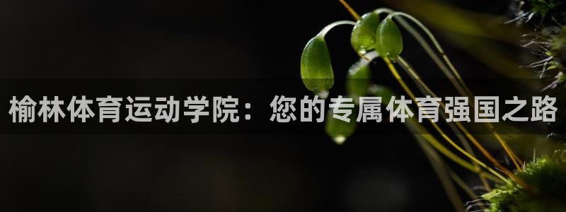 欧亿体育官方正版app集团简介:榆林体育运动学院:您的专属体